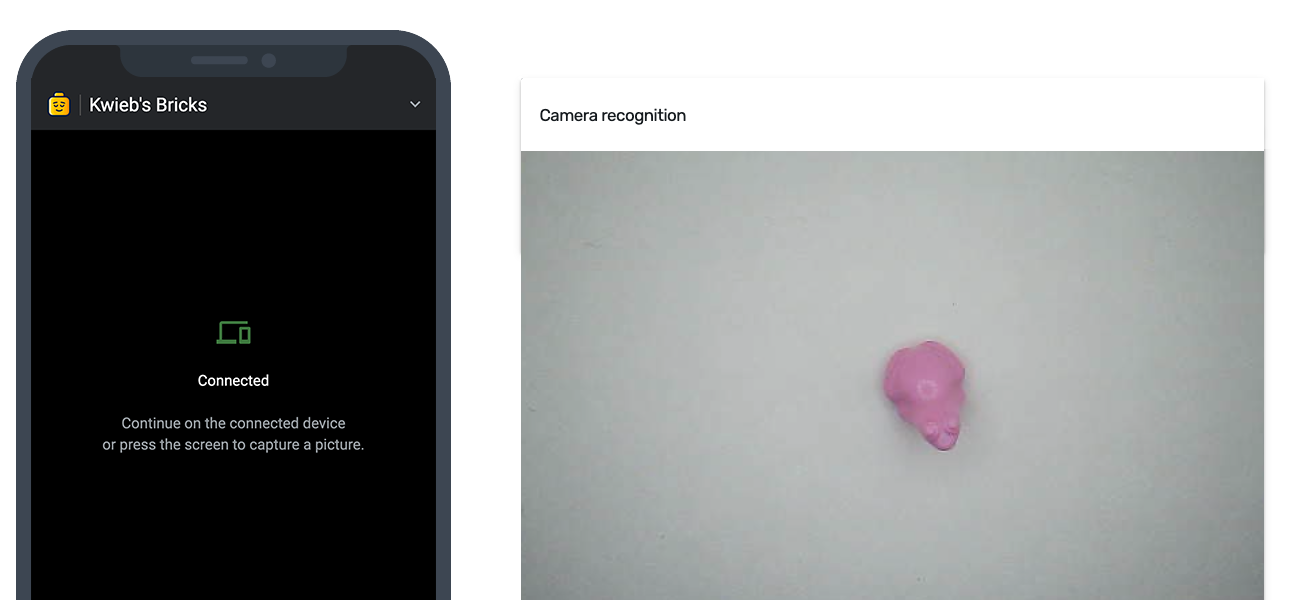 Camera recognition screenshot